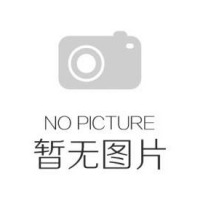 【智行要聞】董事長吳小智先生受邀參加西普會